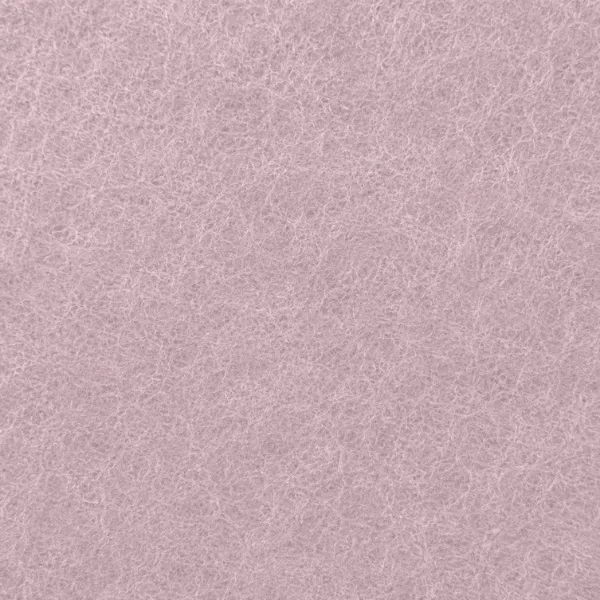 13 Coral