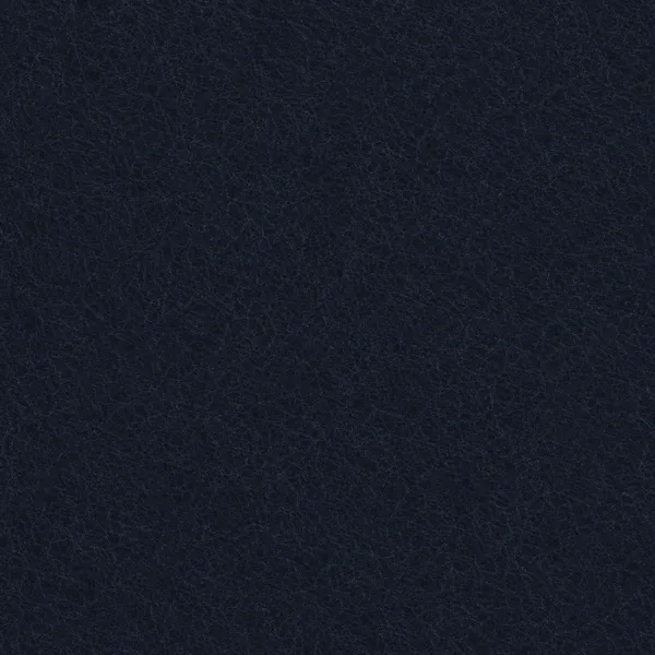 47 Dark Blue