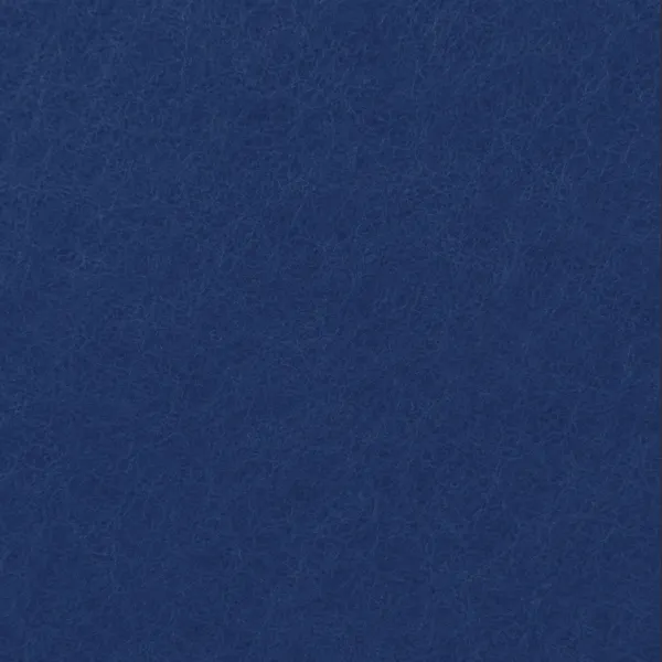 49 Telecom Blue